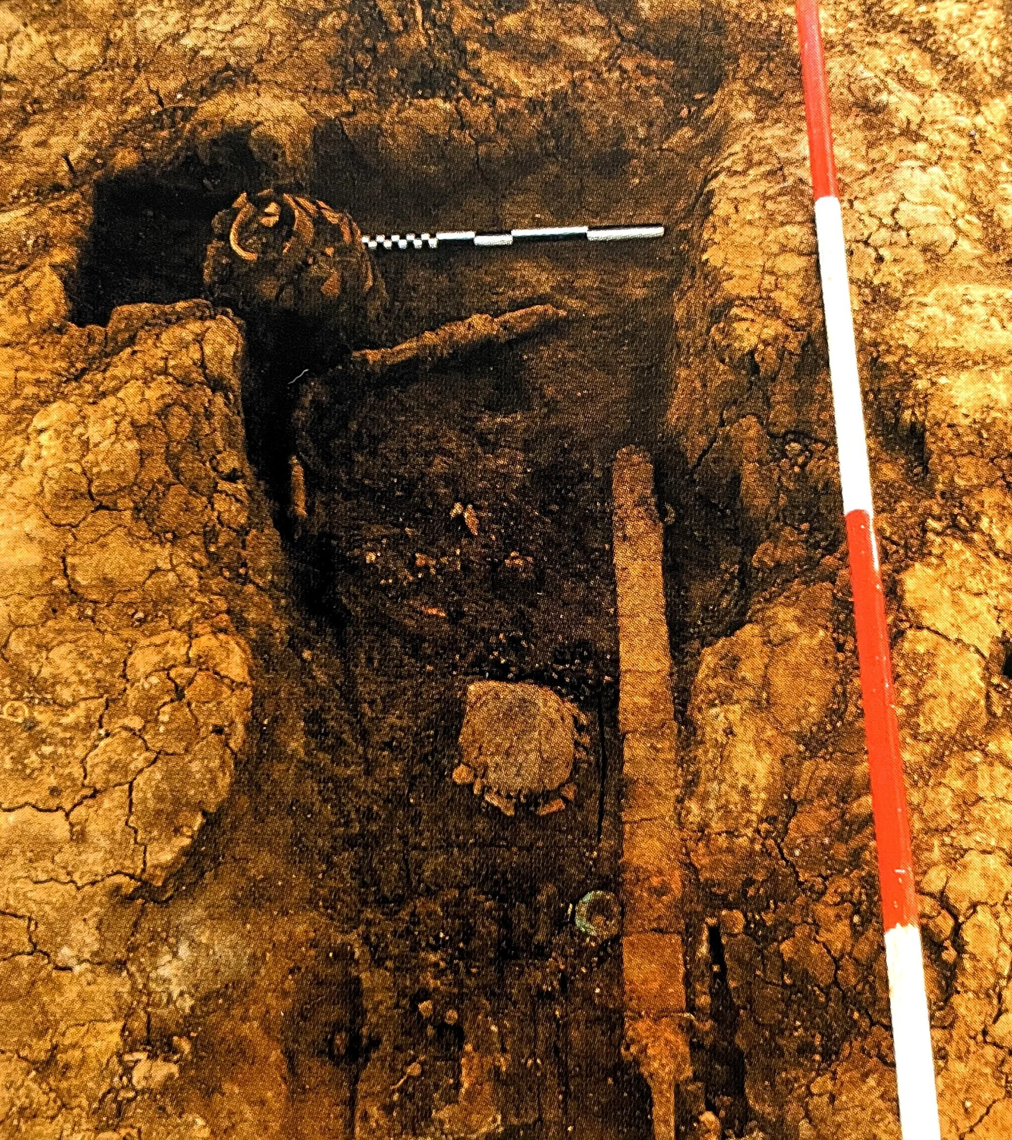 Warrior Burials Found