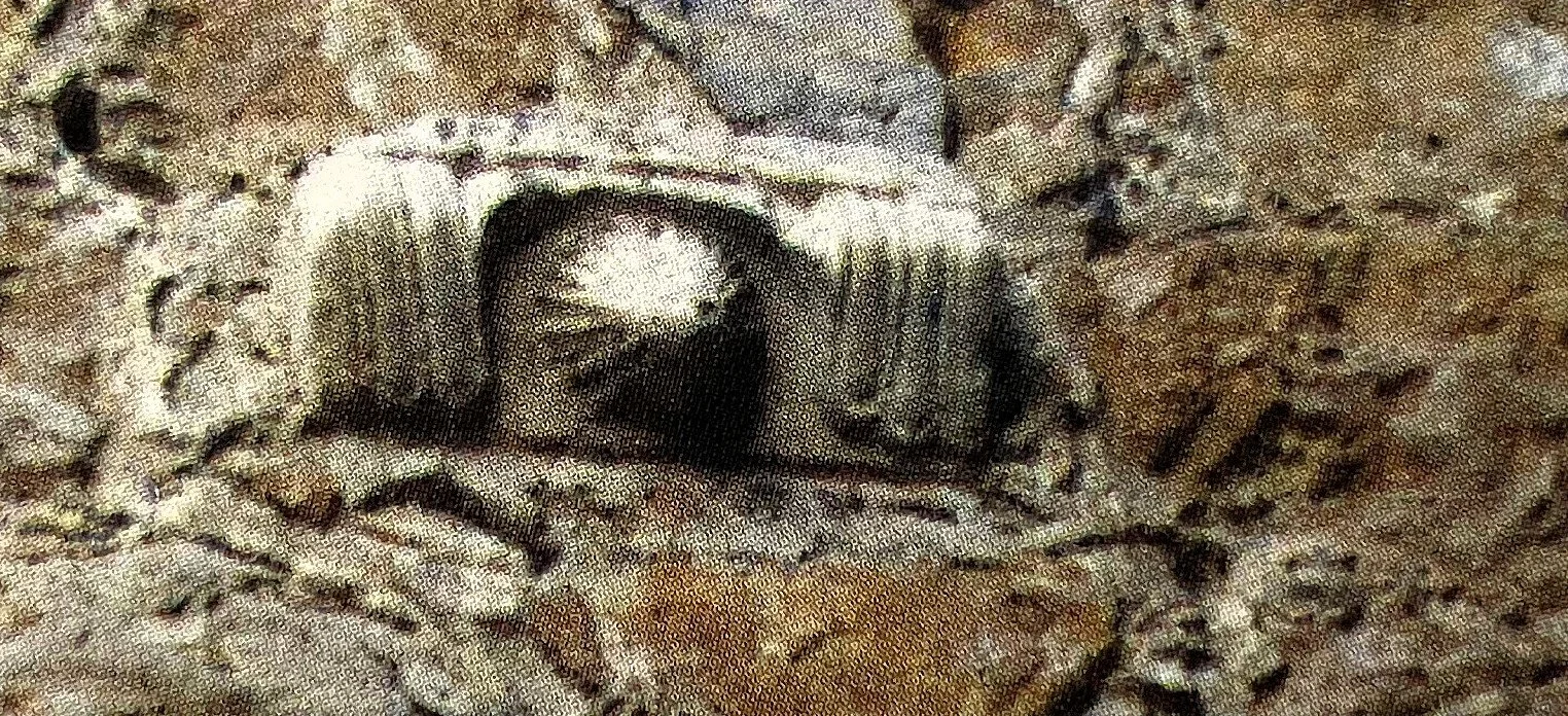 Letters to the Editor, Summer 2002