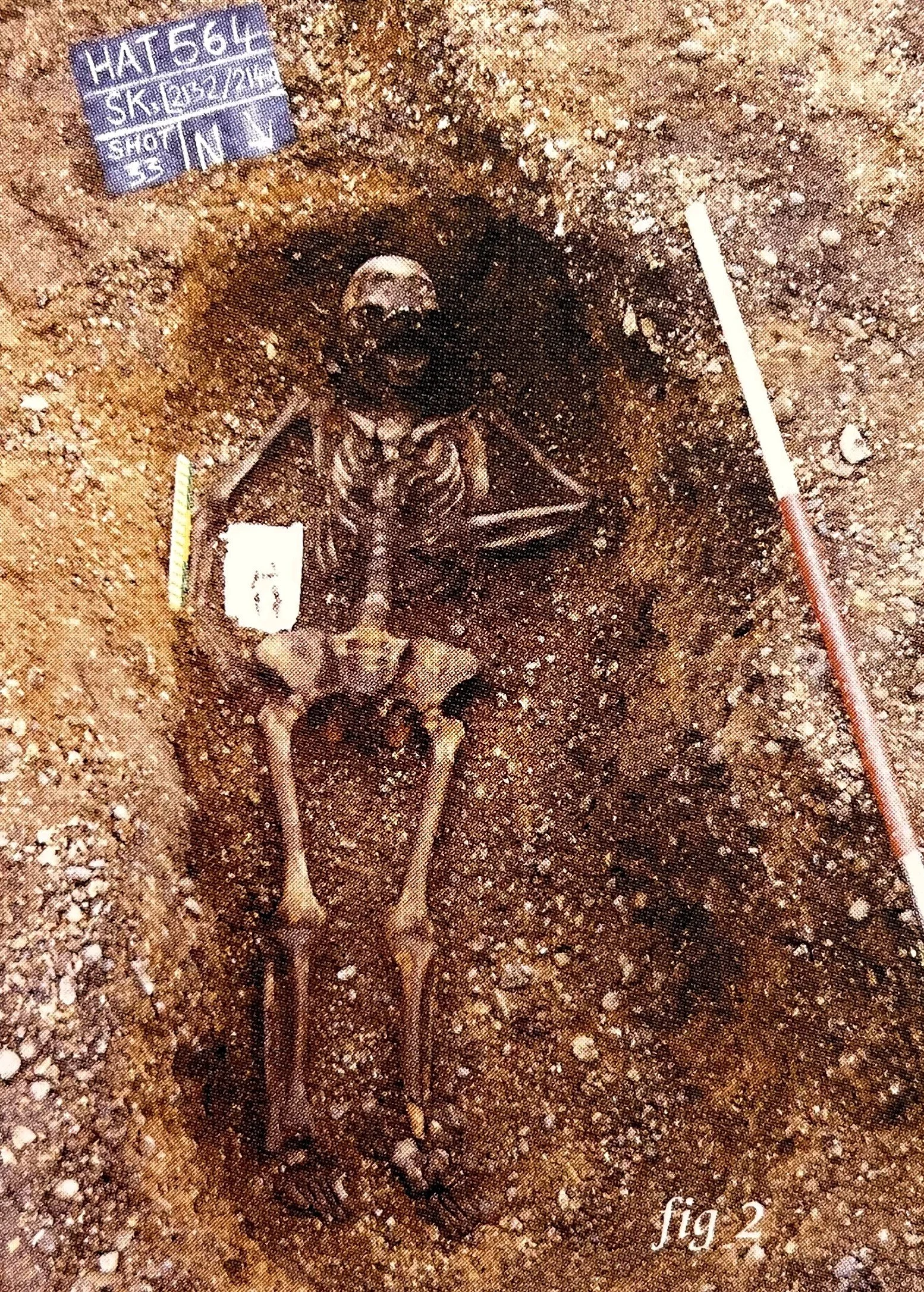 ‘The Bone Yard’: A Preliminary Note on Excavations at Temple Hill, Dartford