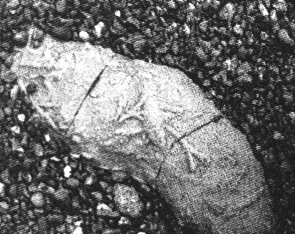 Letters to the Editor, Autumn 2002