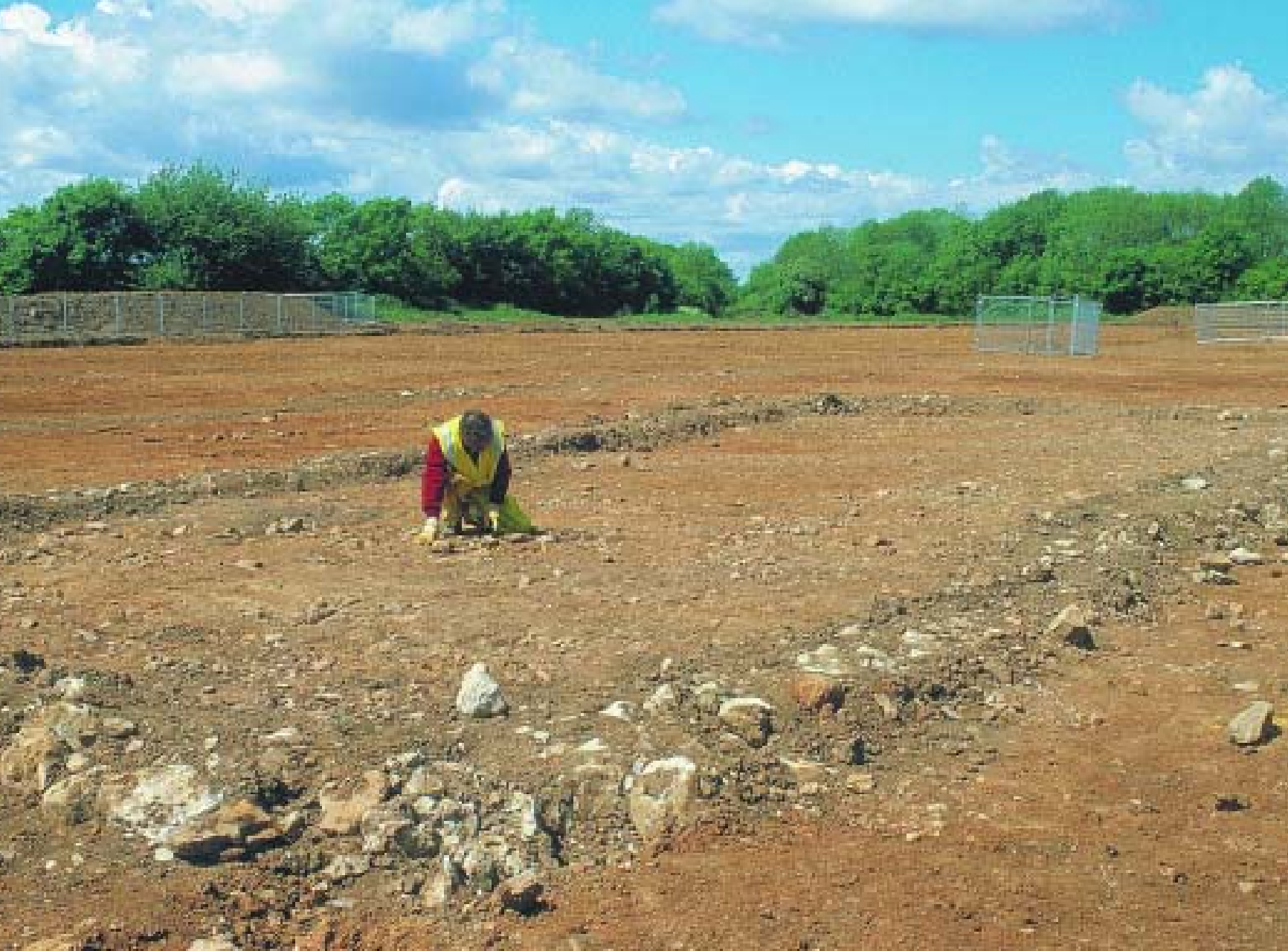Furfield Quarry Finds