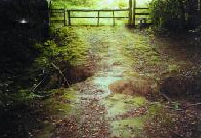 Strawberry Wood Culvert Project