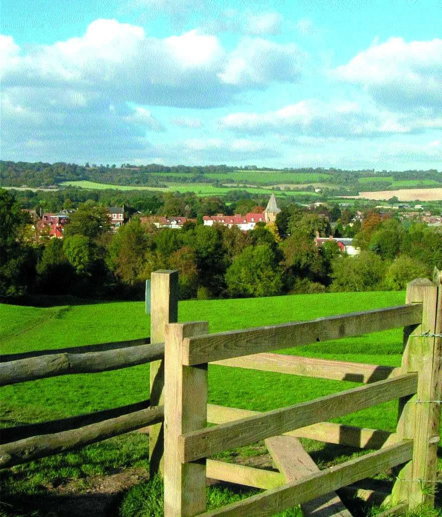Walking through Weald History