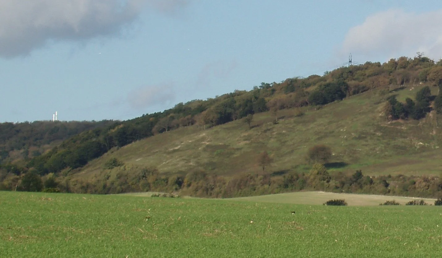Celebrating Boxley Warren