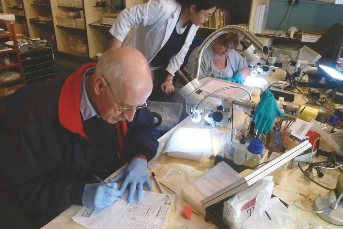 The Society’s Anglo-Saxon Collection Re-Examined