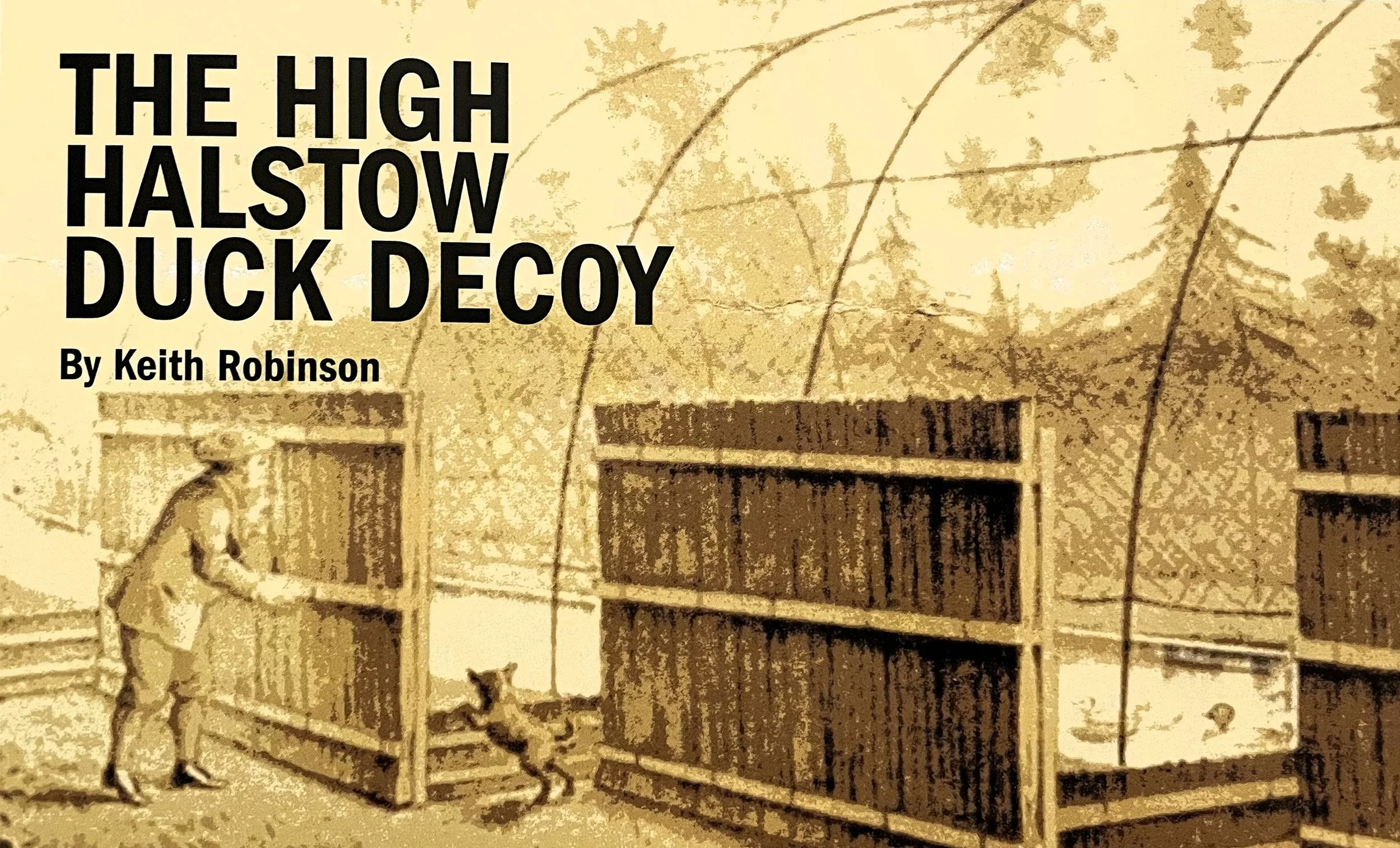 The High Halstow Duck Decoy