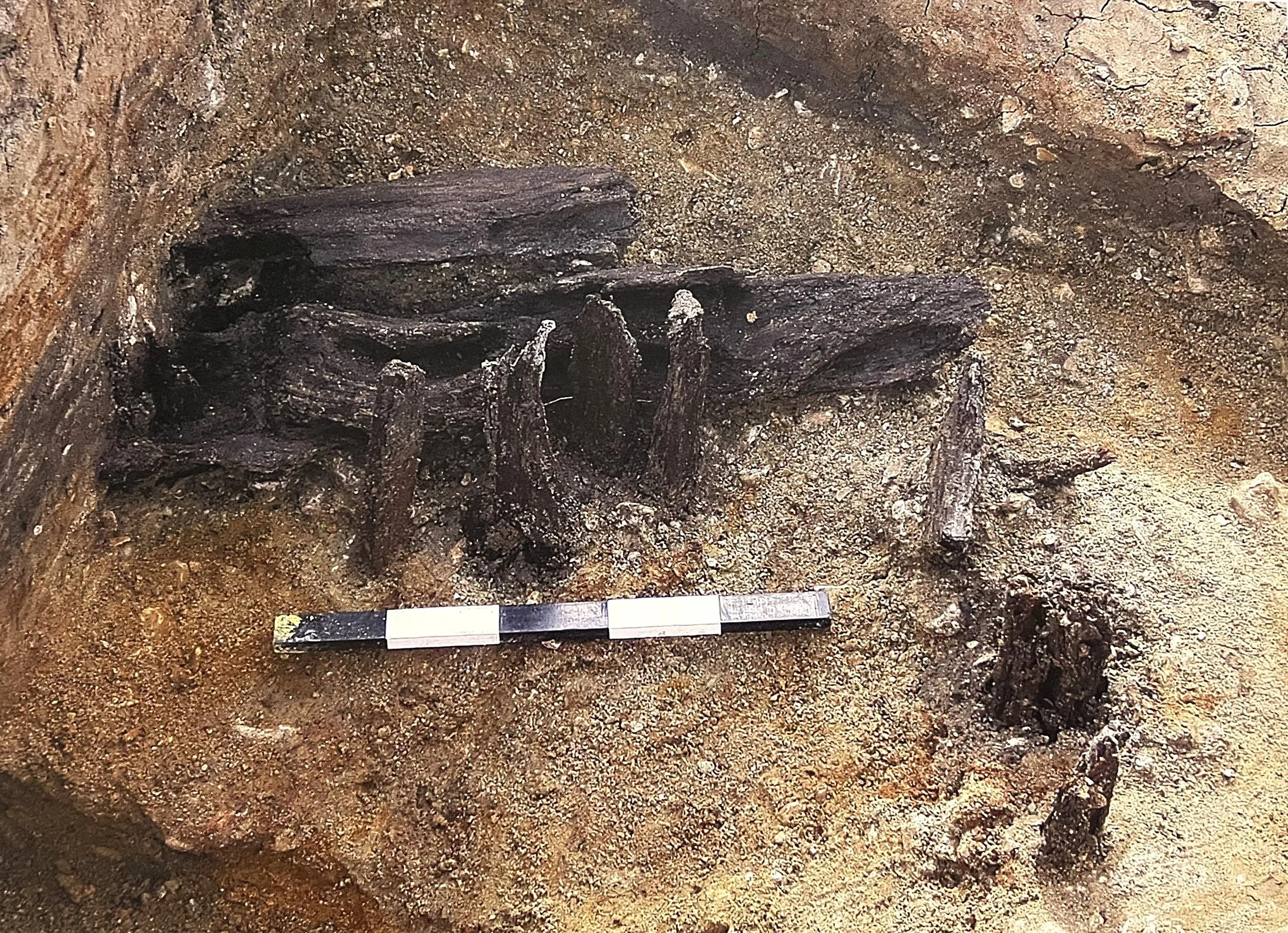 Prehistoric and Medieval Features at Foster Road, Ashford: Preliminary Results