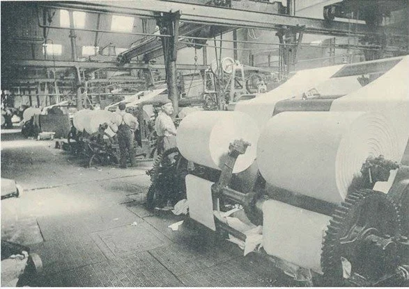 Page 29 3SHMI01979.jpg