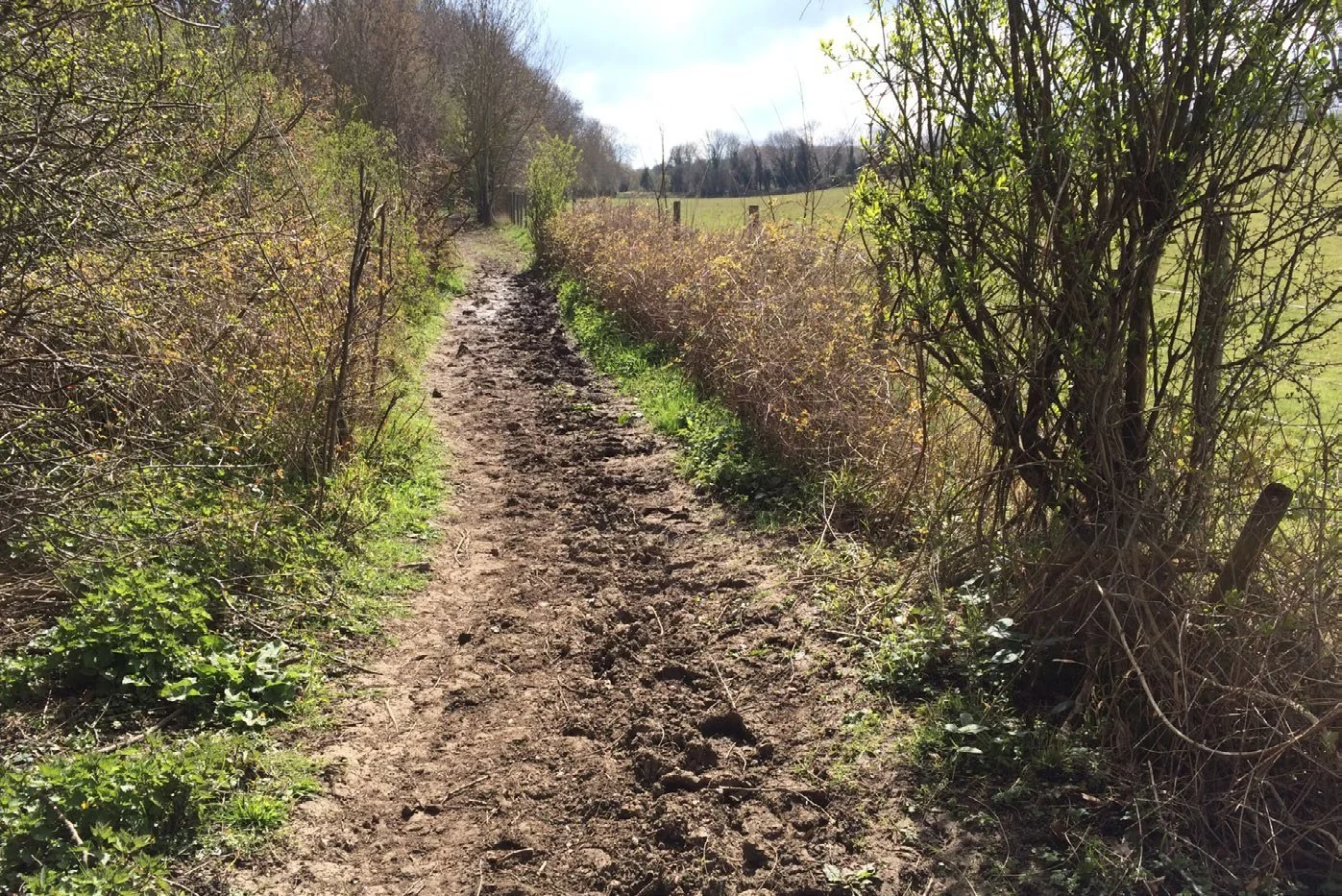 Charter Bounds of Kent Project: Kent Place-Names Research Group