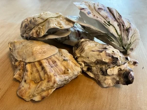 2026 – Canterbury Medieval Weekend and much more