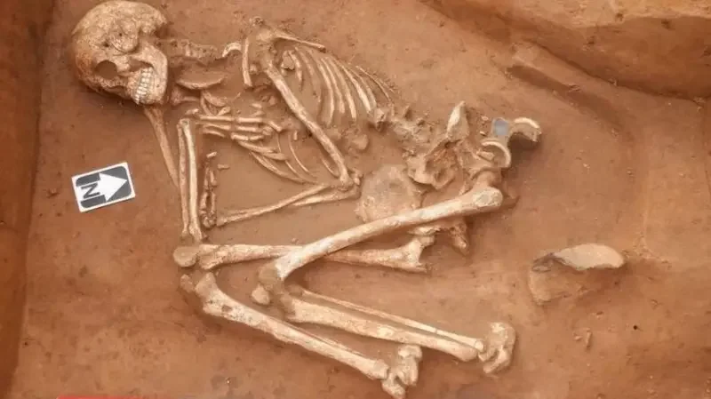 Bronze Age human skeleton found on building site