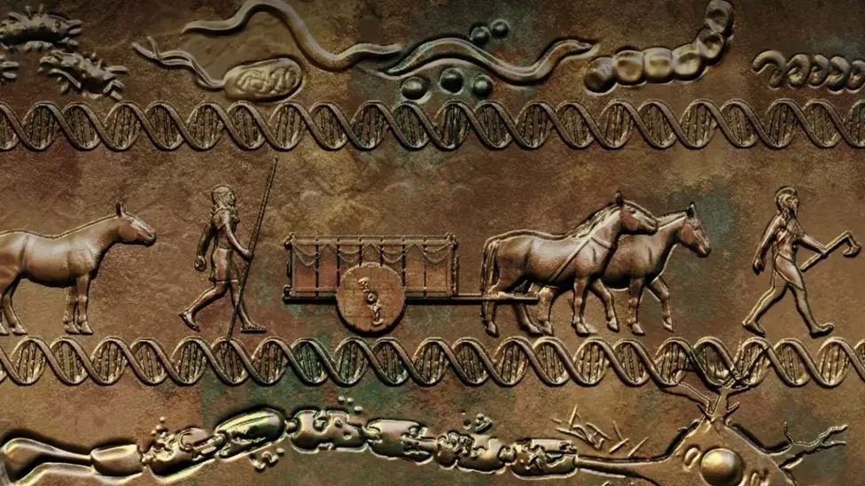 Scientists crack mystery of how MS gene spread