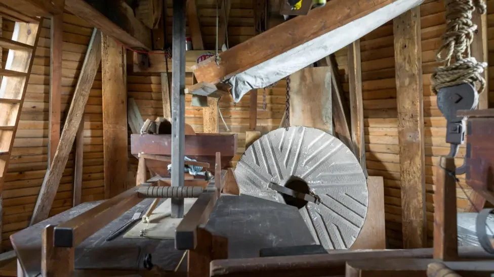 Shipwrecks, skates and submarines: Protecting England's unusual heritage