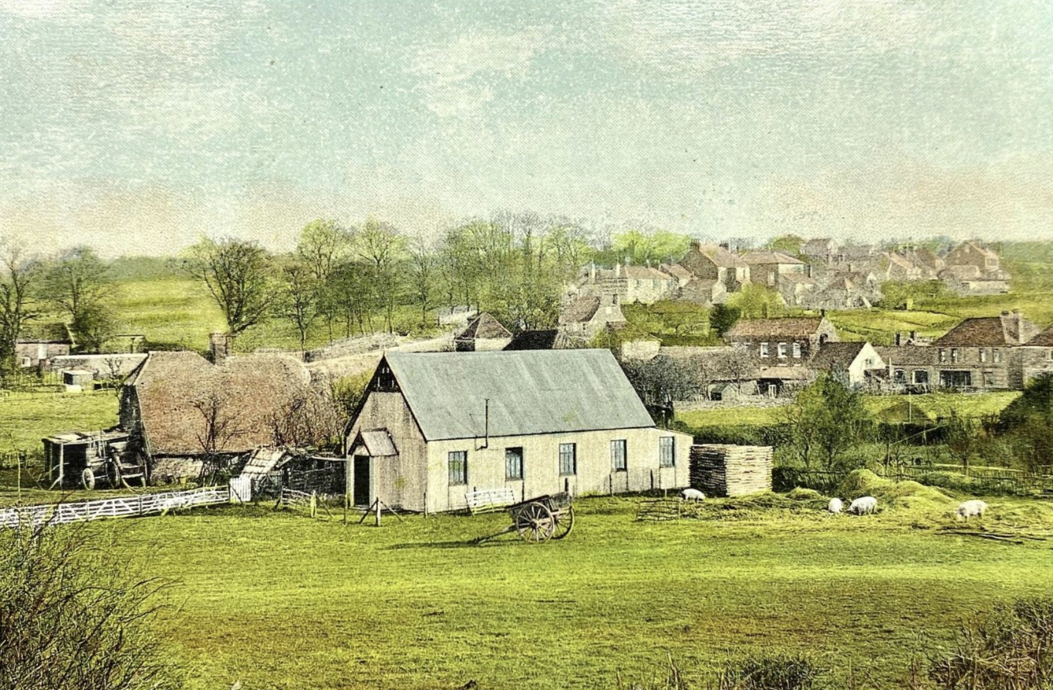 'I looked at the grey of it then, I lived in the grey of it now': The rural fiction of S. C. Nethersole
