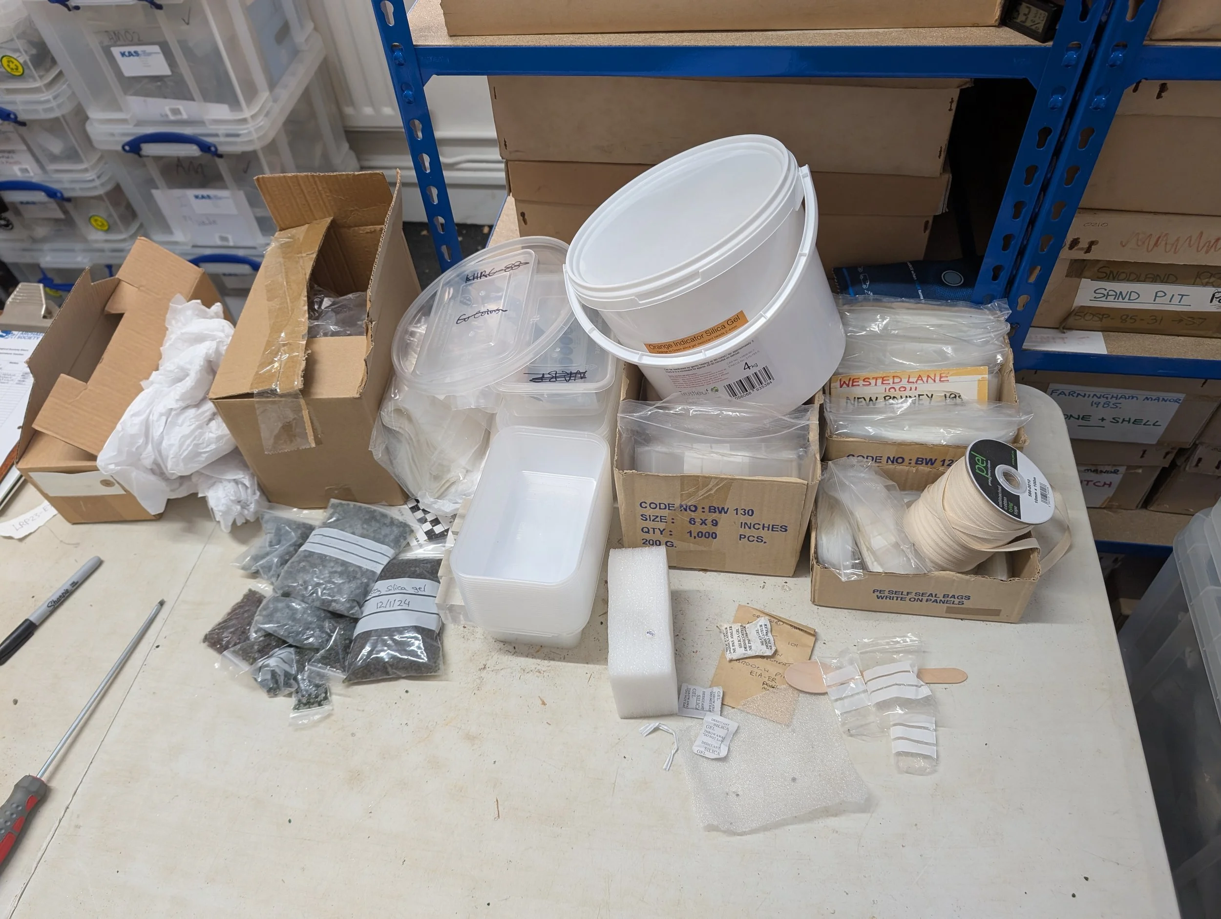 Update from the Society Curator