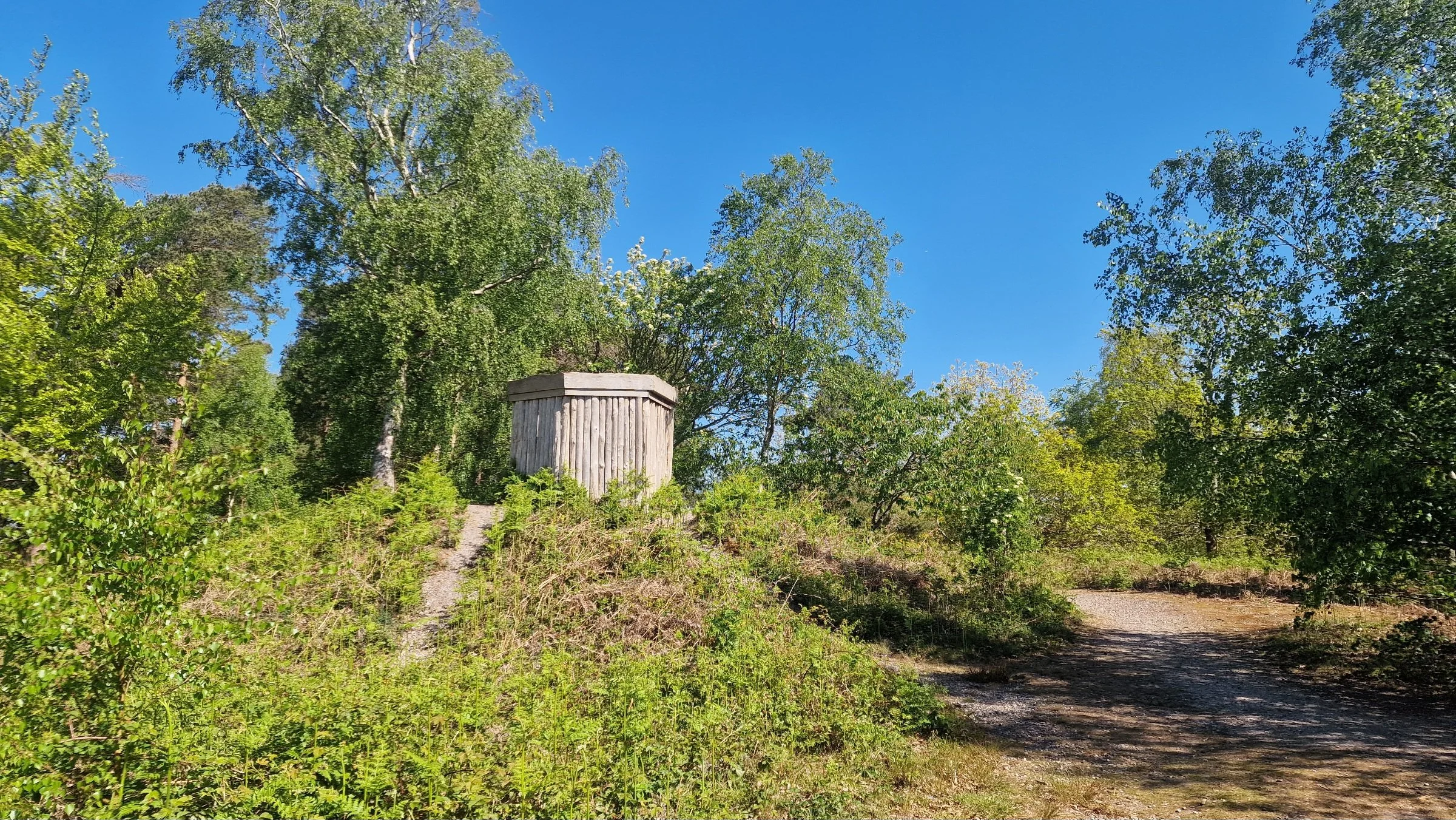 Field Report: The Mount, Perry Wood, Swale