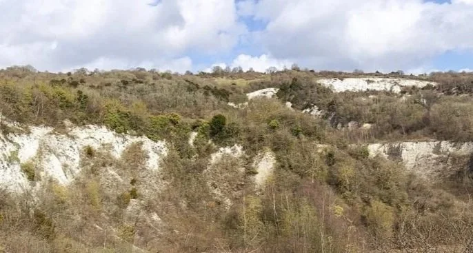 Kent Downs National Landscape launch Hidden Hollows Project
