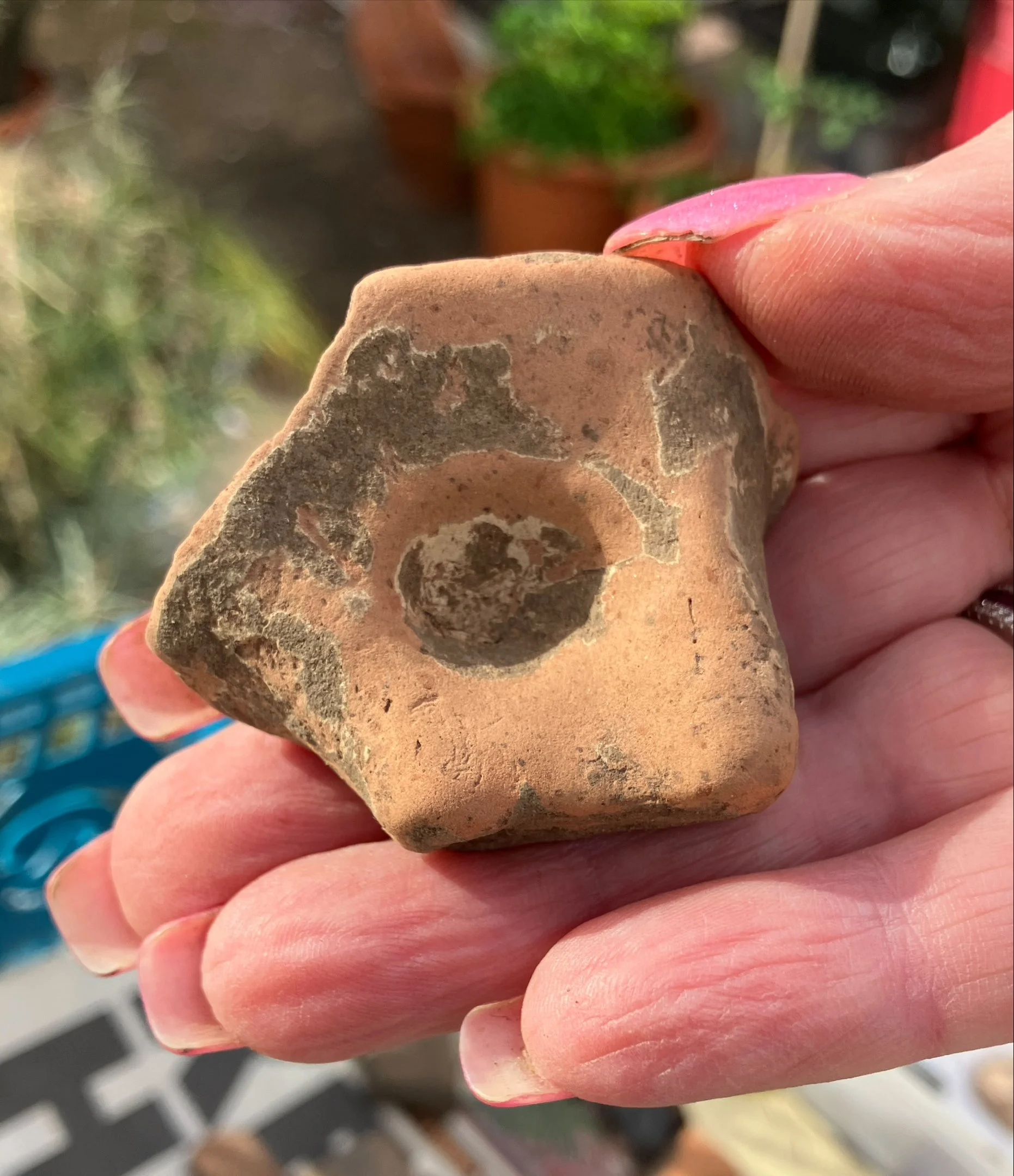Sharing History: see artefacts and talk about heritage  with experts