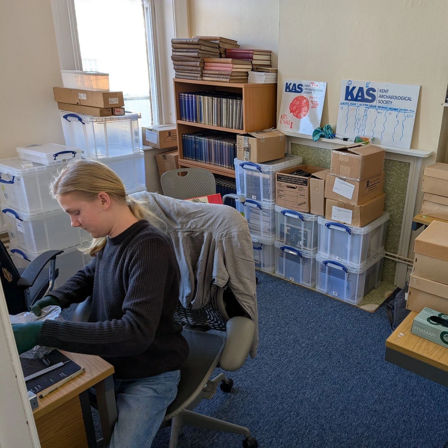 Curatorial work experience