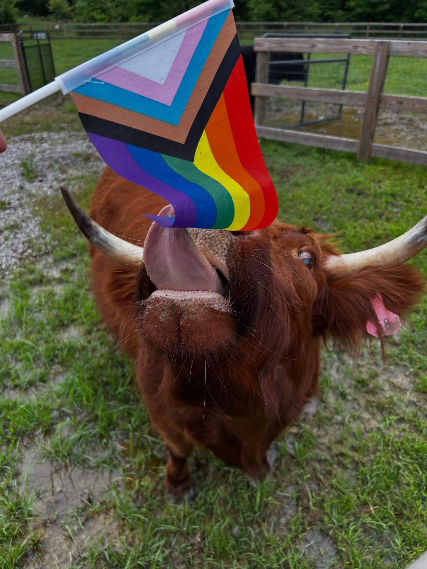 At The Manor, we celebrate love all year long.

We understand the importance of representation, inclusion, and pride. No matter who you are or who you love, you are safe here, you are welcome here, and you are loved here. 🏳️&zwj;🌈

And Ruby wanted 