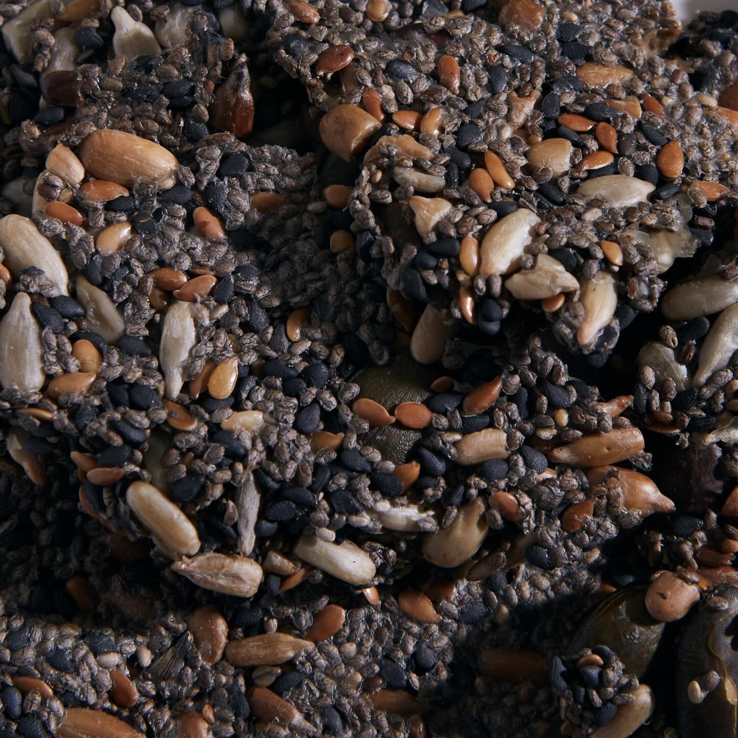 NEW PRODUCT RELEASE 

Super-seeded crackers!! 🤎

The perfect snack - sugar free, high in fibre &amp; so delicious 🤤

Made with chia seed, sesame seed, sunflower seed, pumpkin seed &amp; linseed.

📍Only available in store in South Kensington, Londo