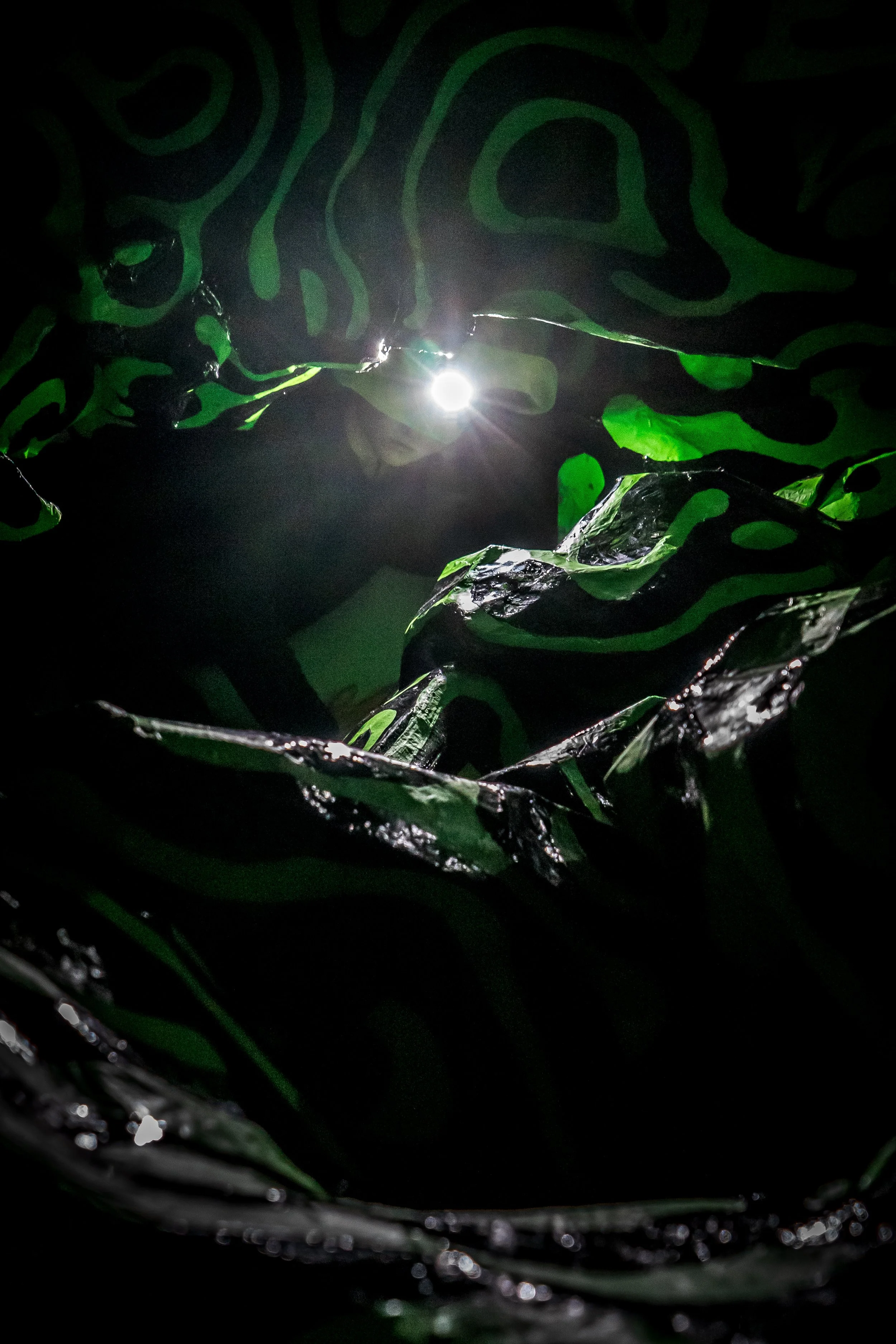 aoibheann_performance_eoghan_barra-7.jpg