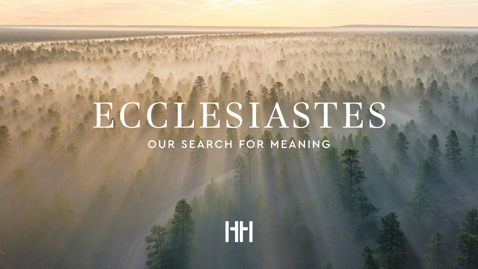 What Is the Meaning of Life?