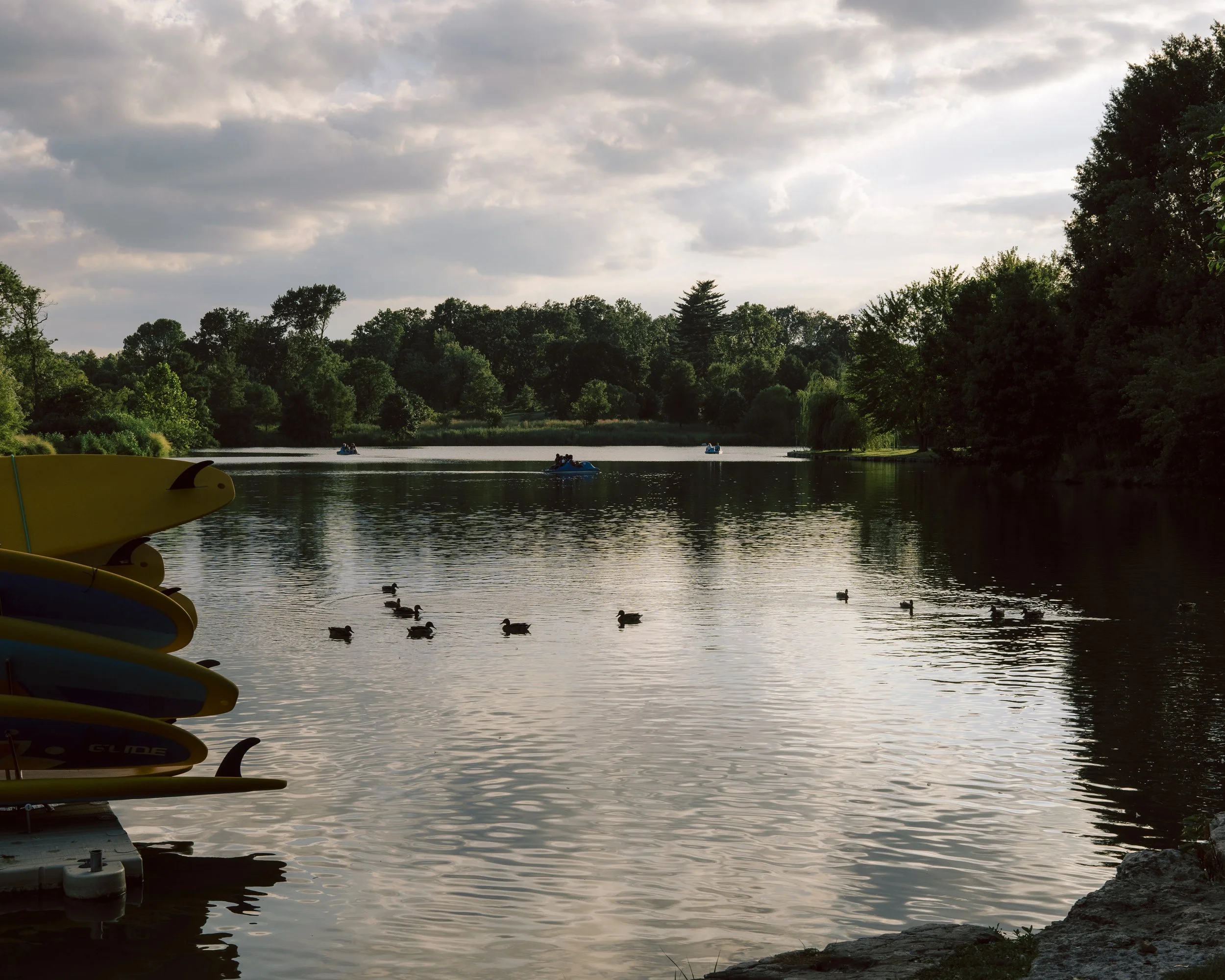 A calm lake with ducks swimming, surrounded by green trees under a partly cloudy sky. Several kayaks are on the water, and colorful kayaks are stacked on the left side.