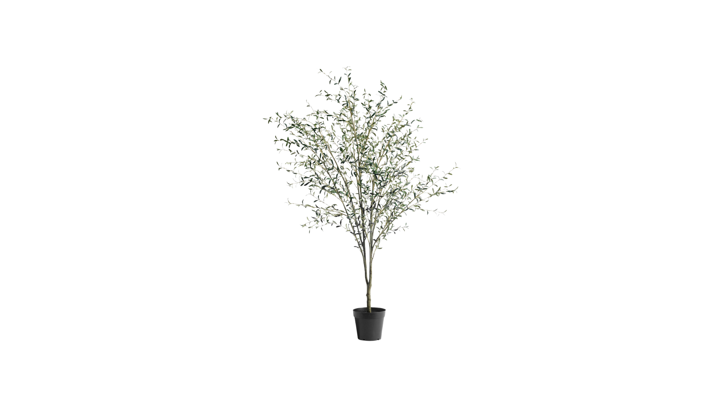 Behind the Scenes-31.png