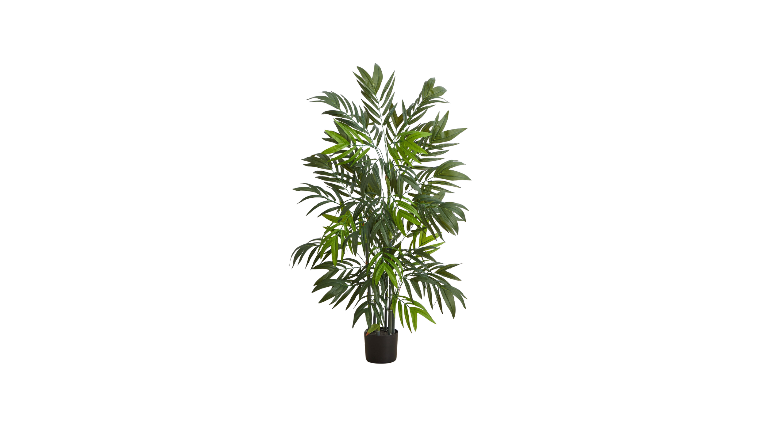 Behind the Scenes-32.png