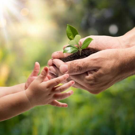 The Art of Stewardship in Family Business