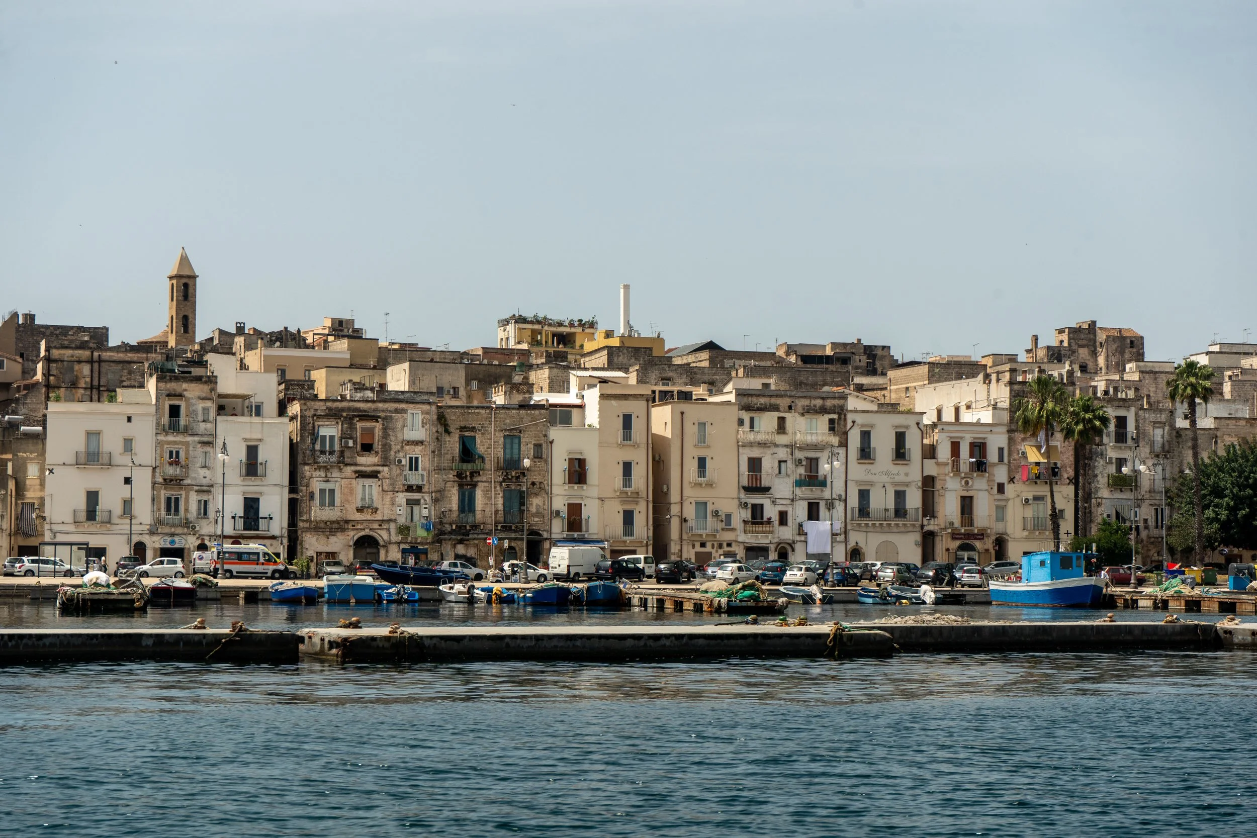 Copy of DSC00722.jpg