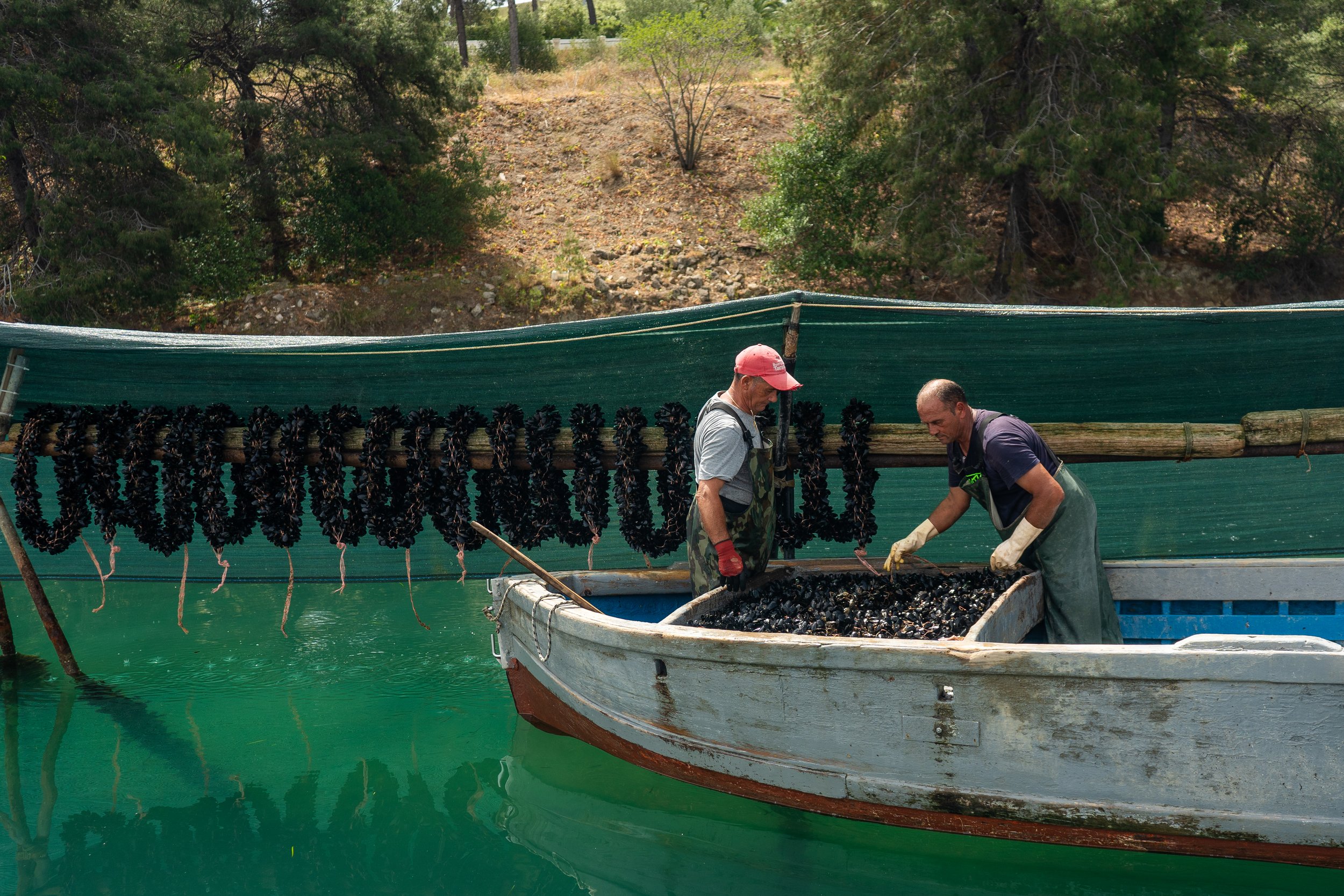 Copy of DSC00667-2.jpg