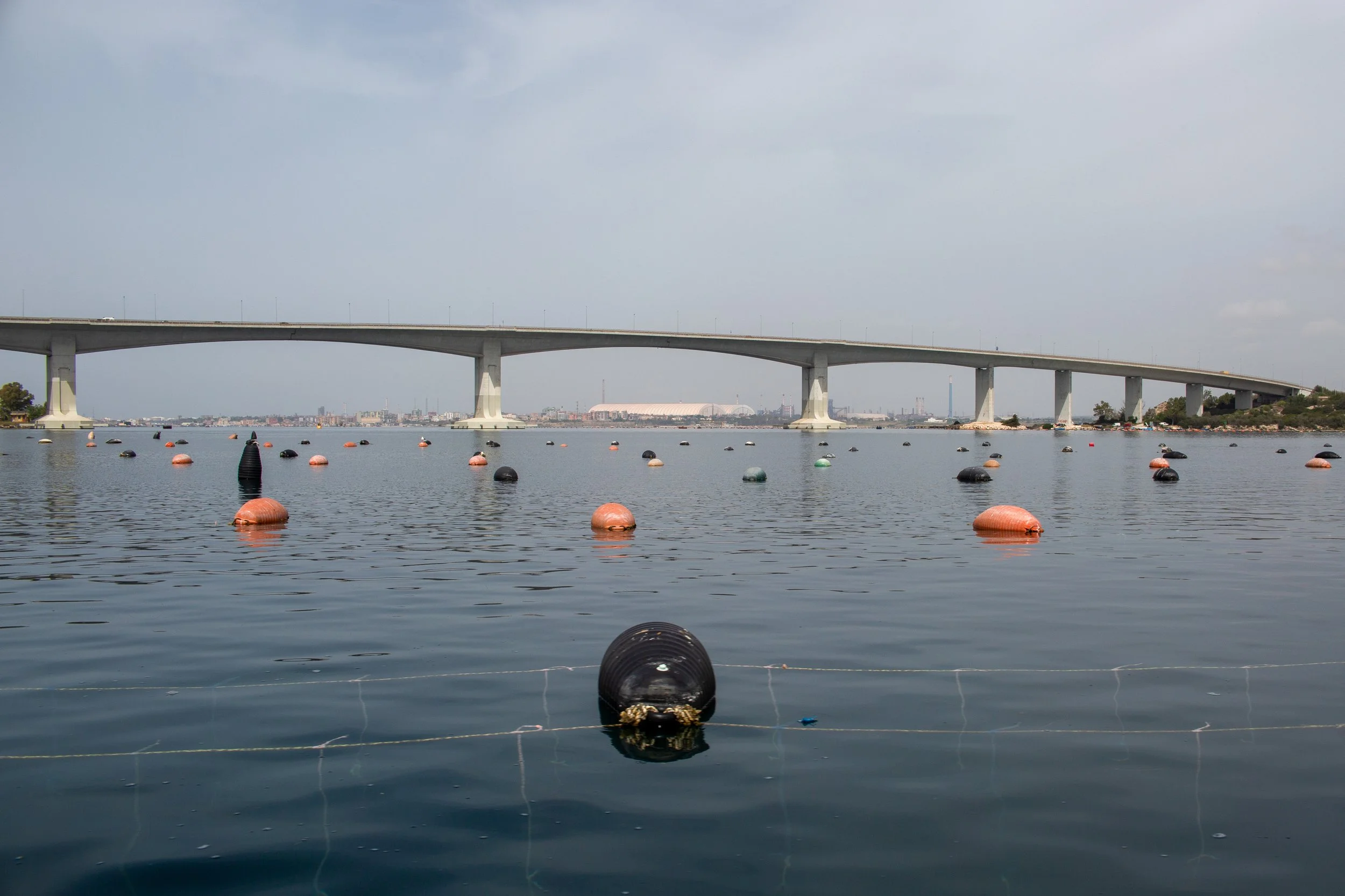 Copy of BD7A9394.jpg