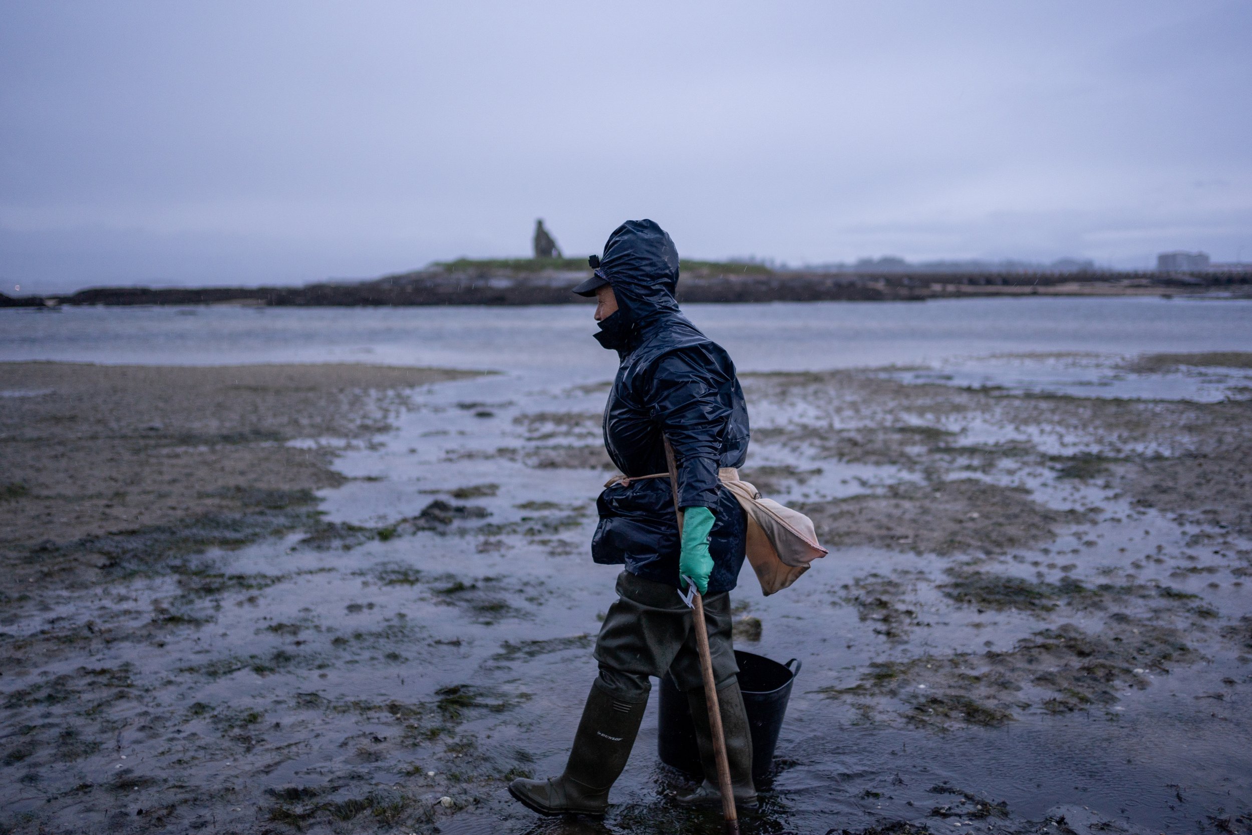 Galicia's shellfish pickers