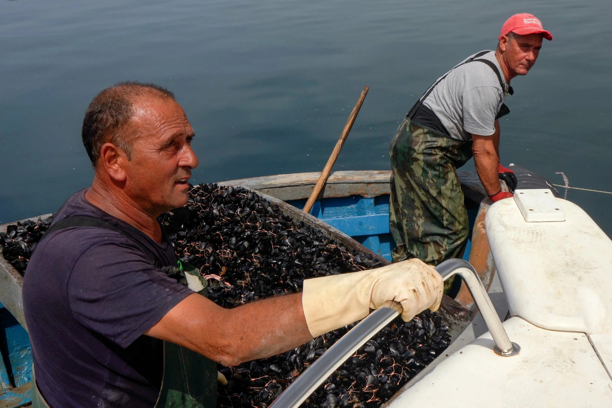 Copy of C0139.MP4.10_33_34_06.Still001-3-2.jpg