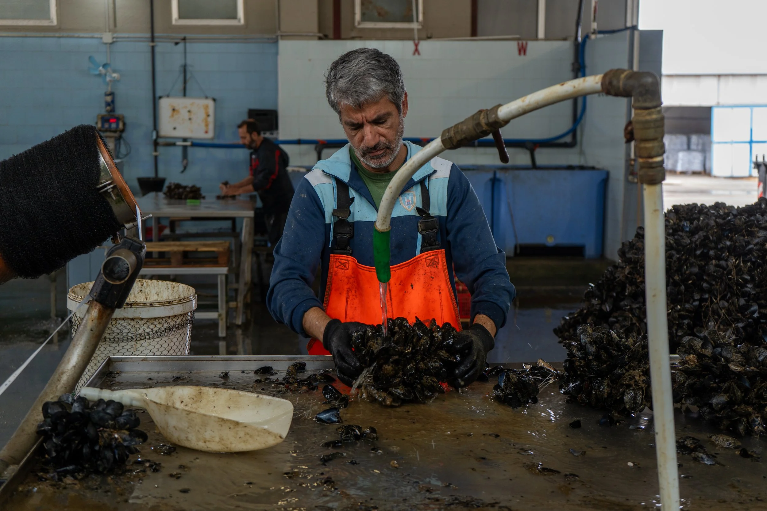 Copy of DSC09847.jpg