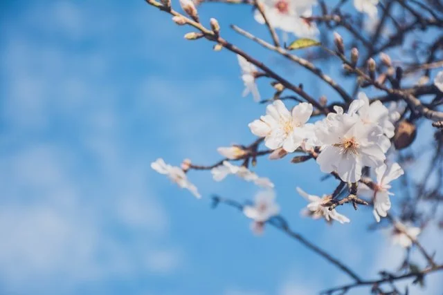 How to Involve Neighbors and Friends in Memorial Ceremonies