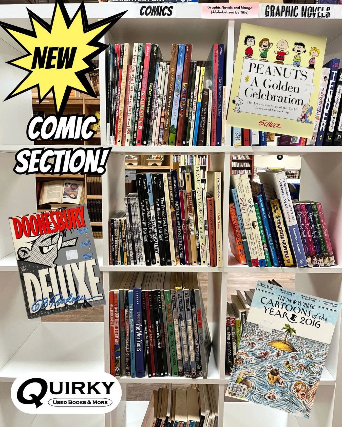 We have a new comics section! Find all your favorites like Peanuts, Doomsbury, and collections. Check it out right by the graphic novels section📖

#bookstore #comics #abq #supportlocal