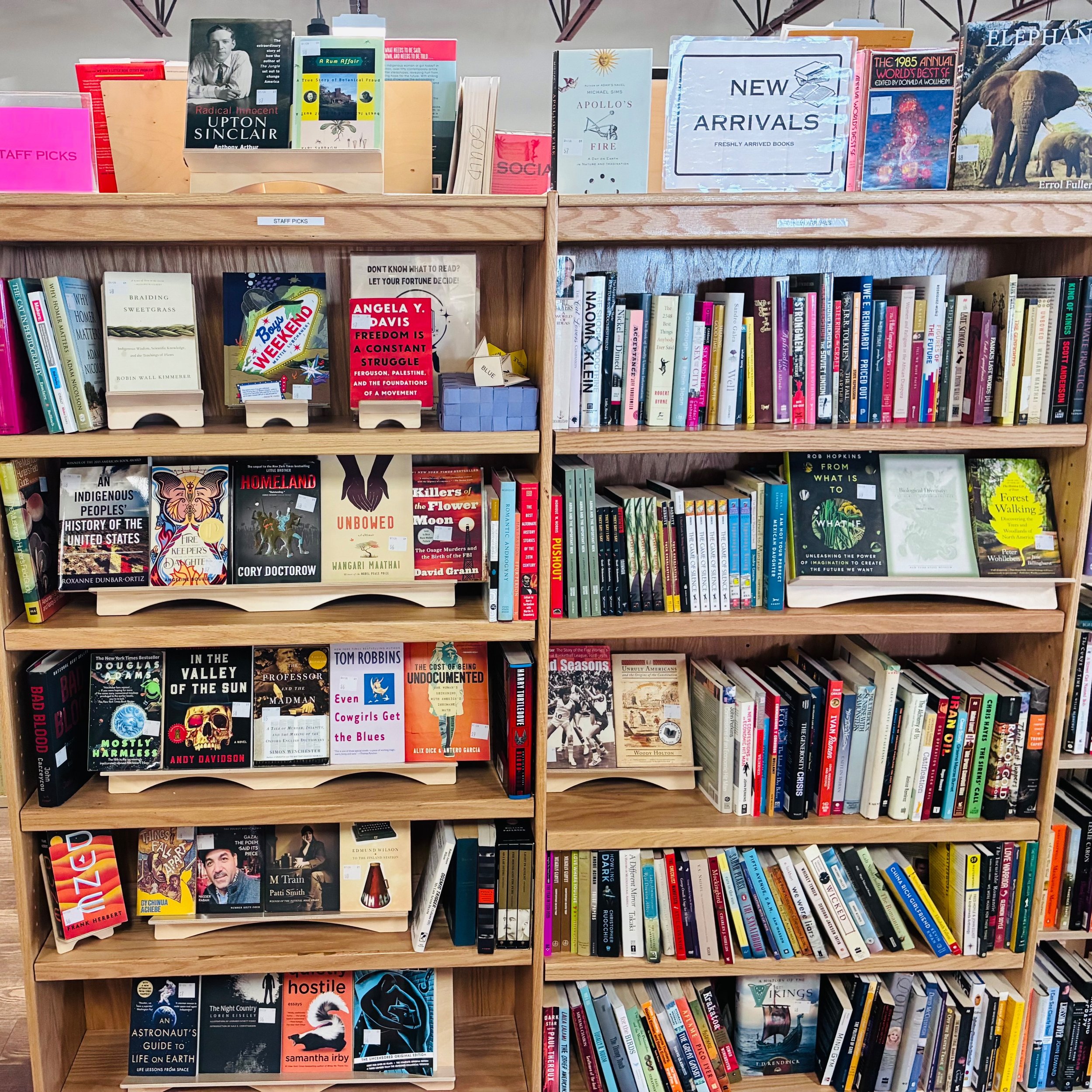 Staff Picks and New Arrivals are full of new treasures! Come in and check them out!