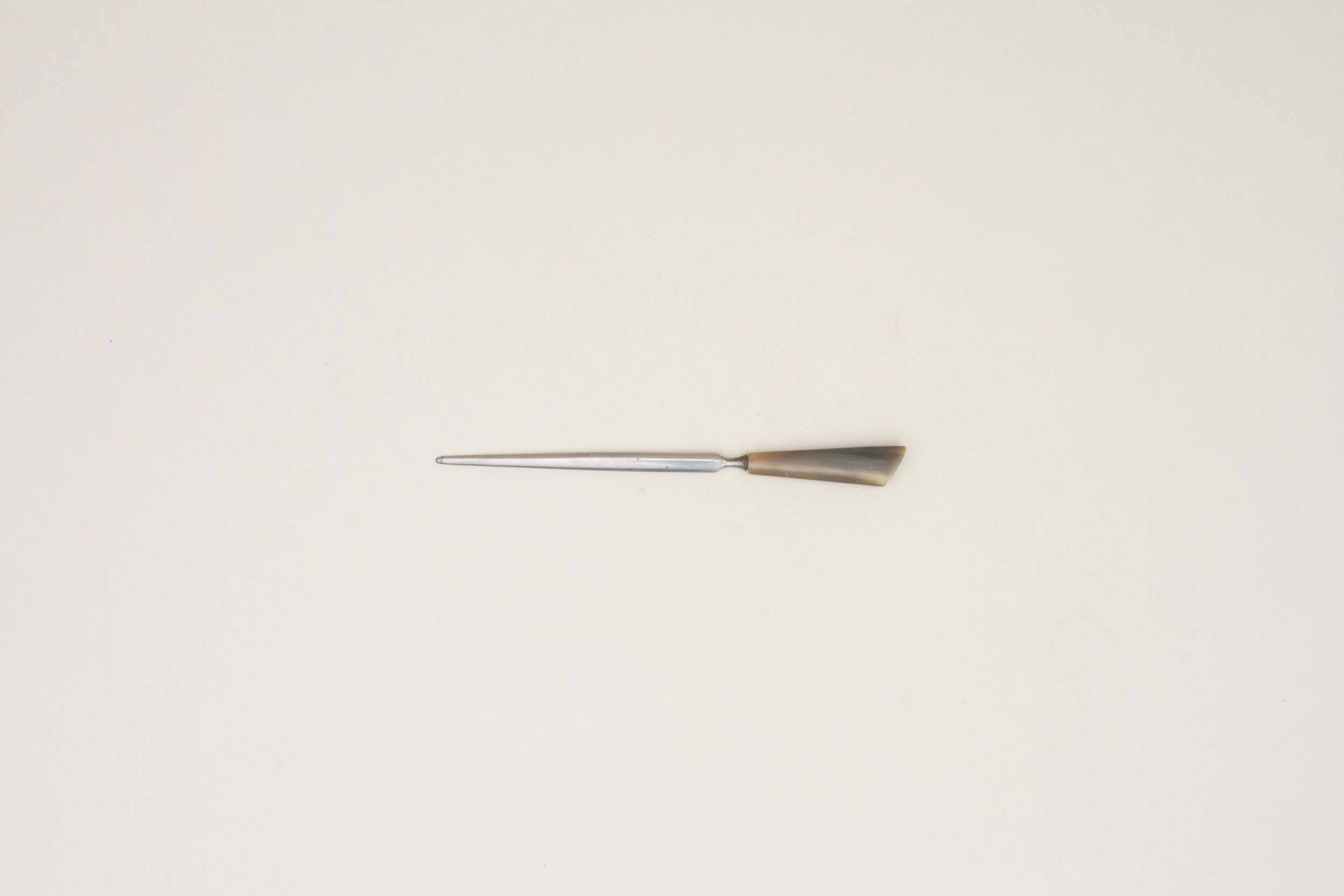 Delicate Letter Opener with Horn Handle