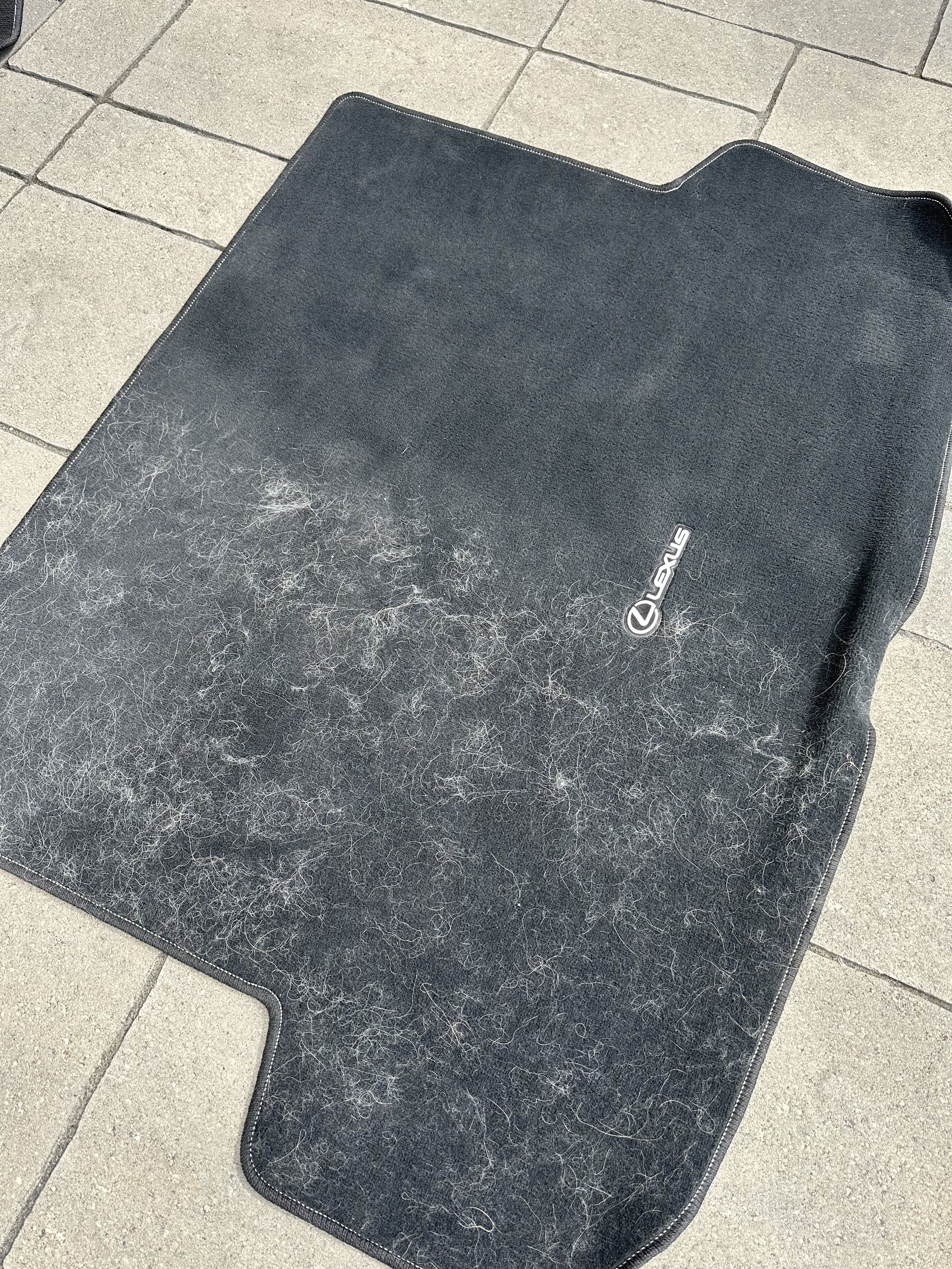 lexus dog hair mat.jpg