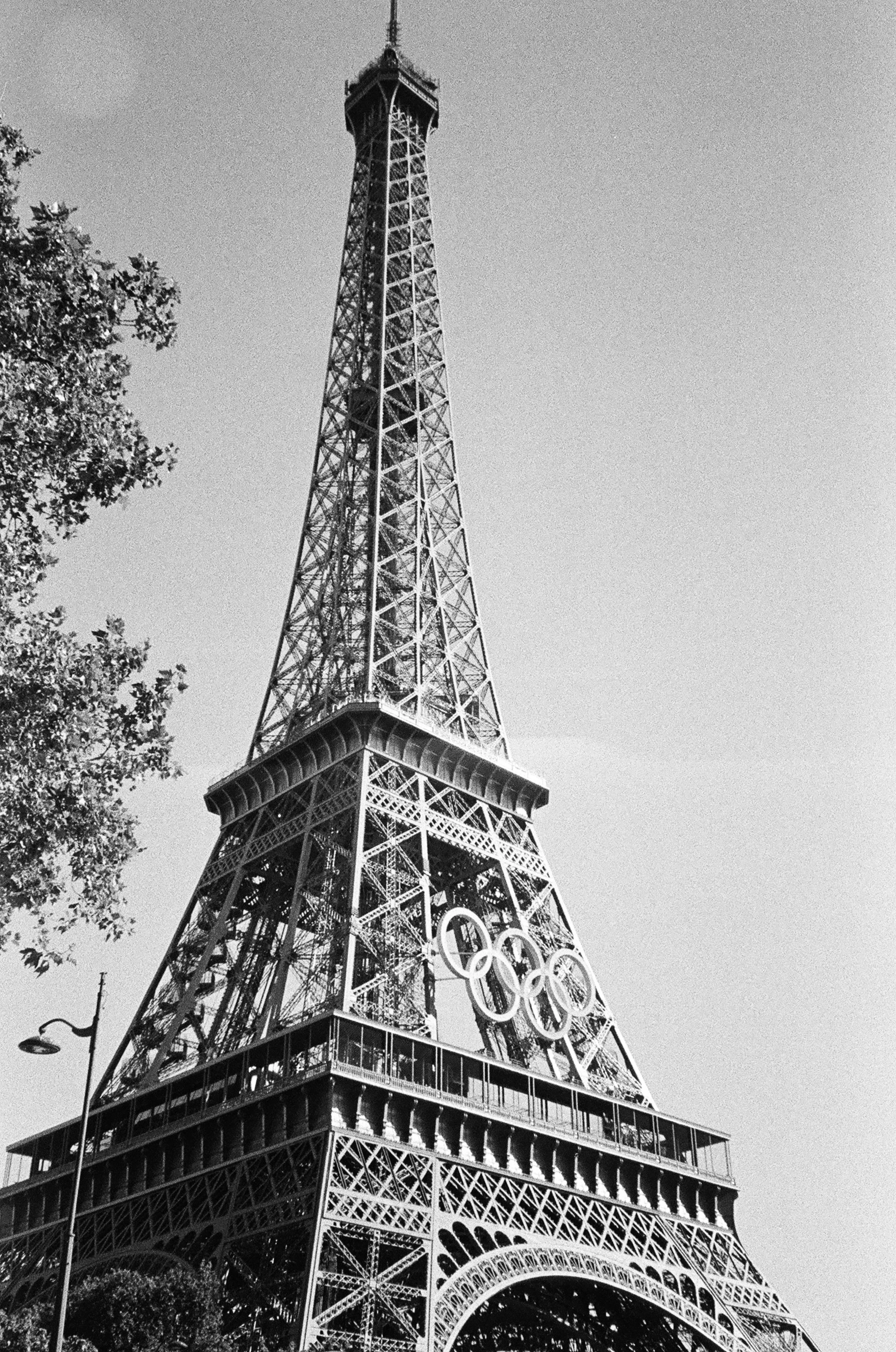 30680030.JPG