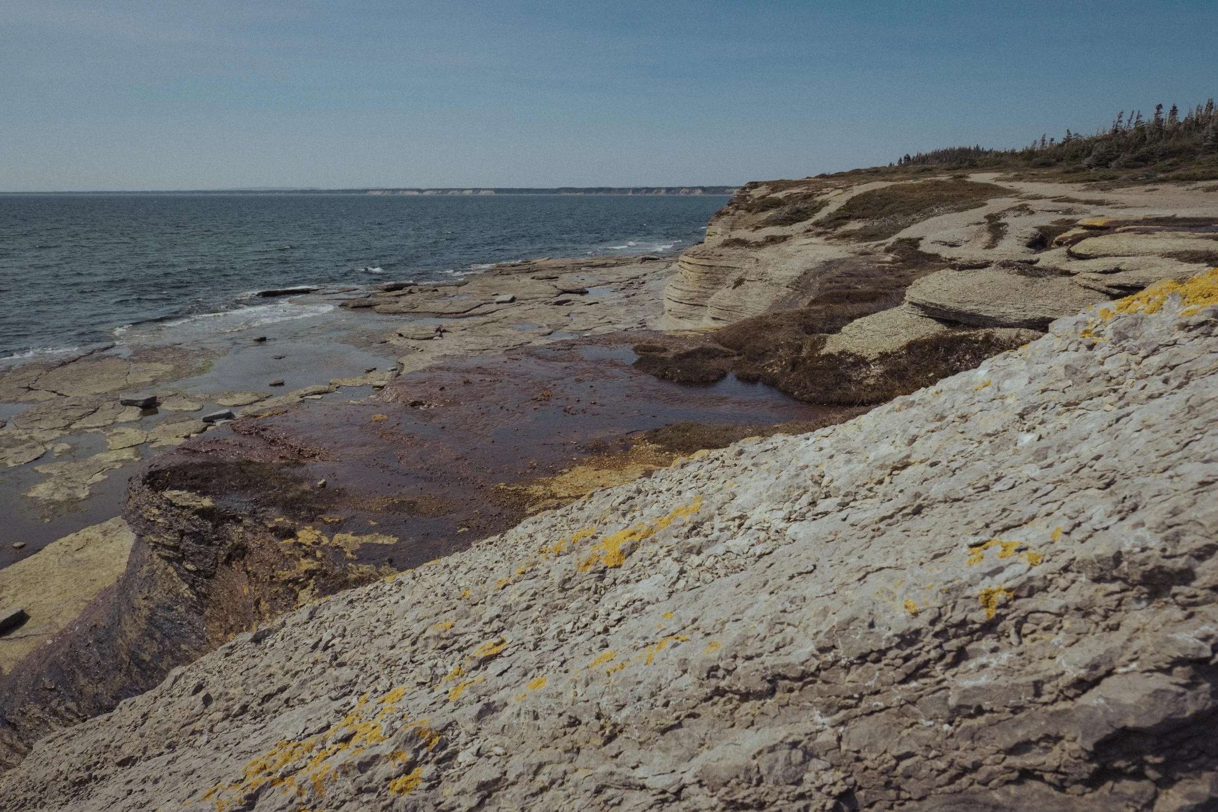 DSCF6311.JPG