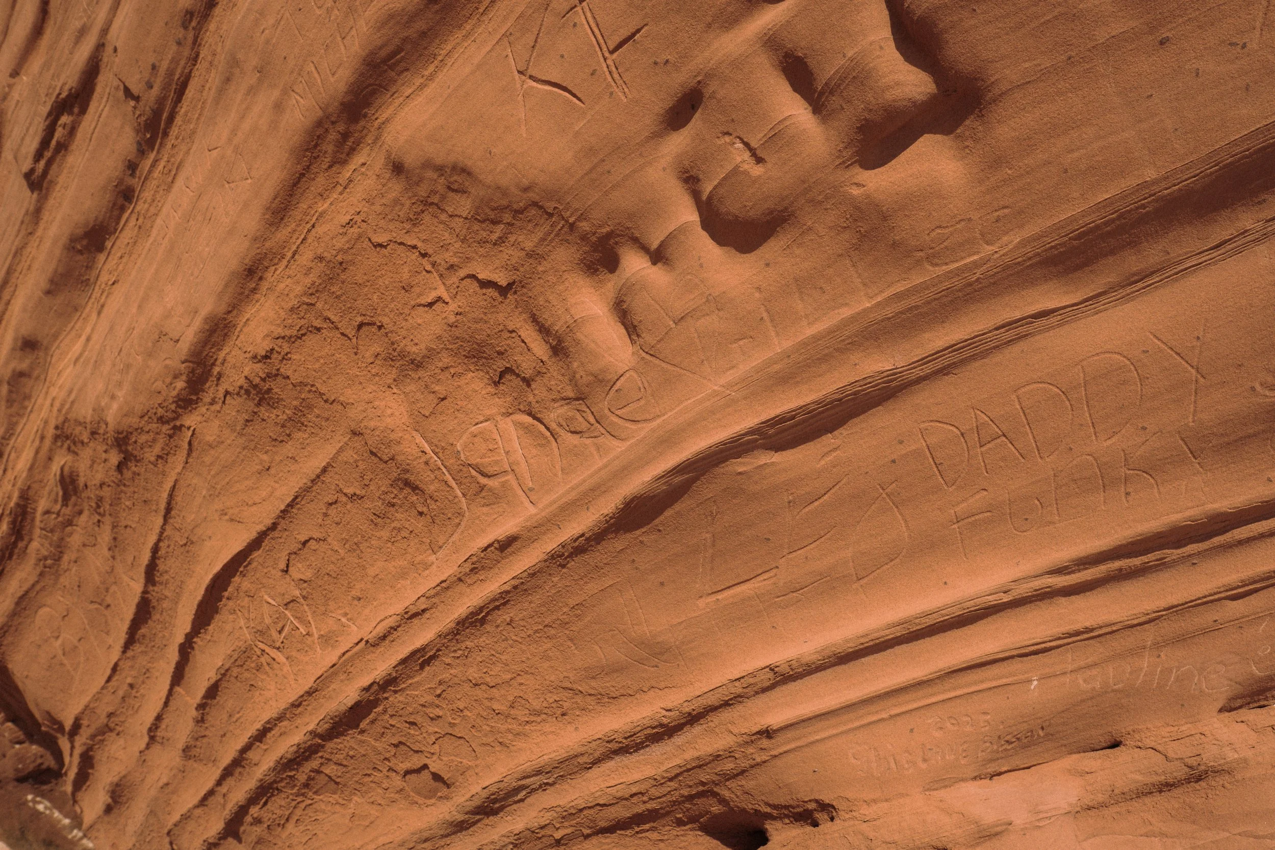 DSCF0760.jpg