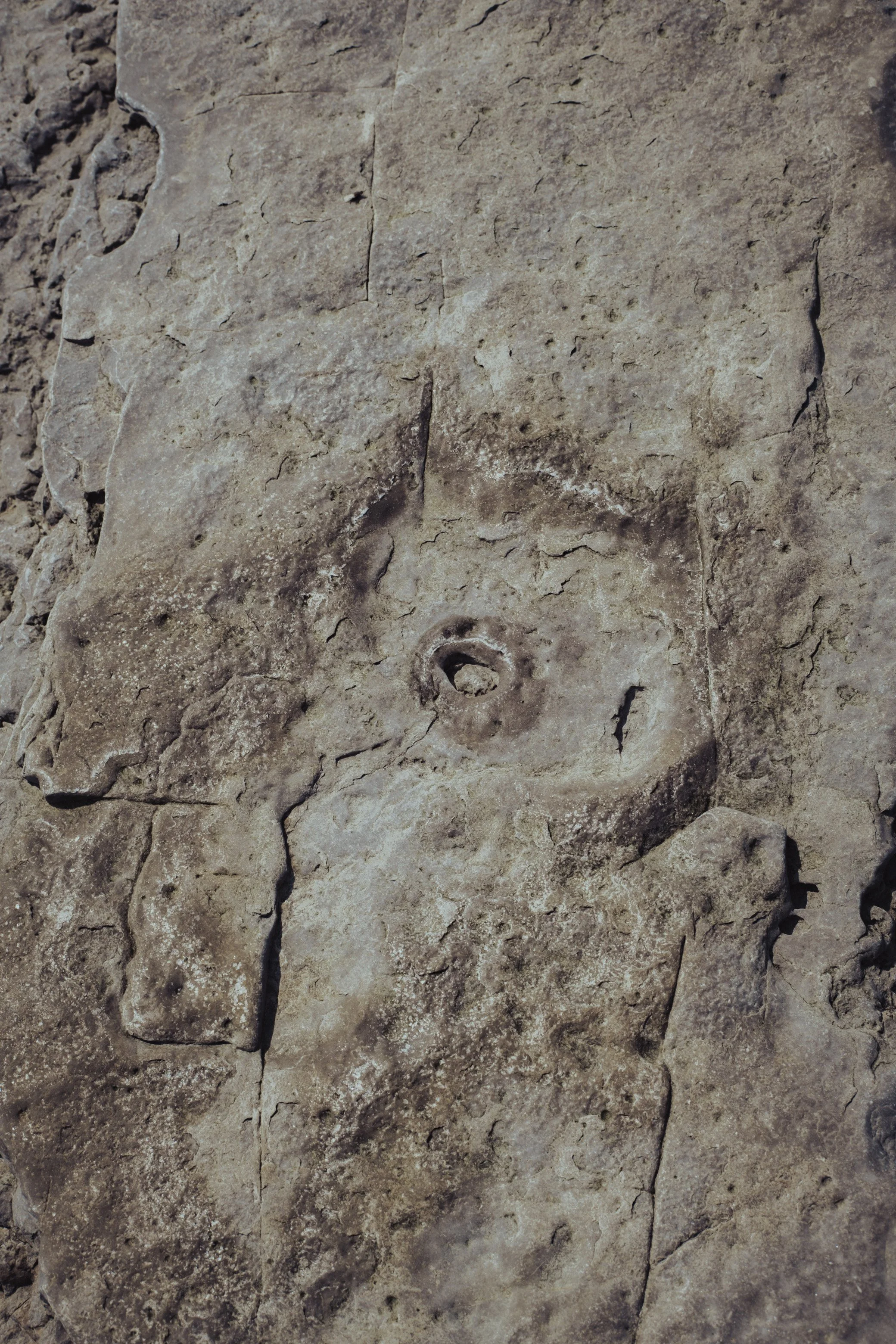 DSCF6267.JPG
