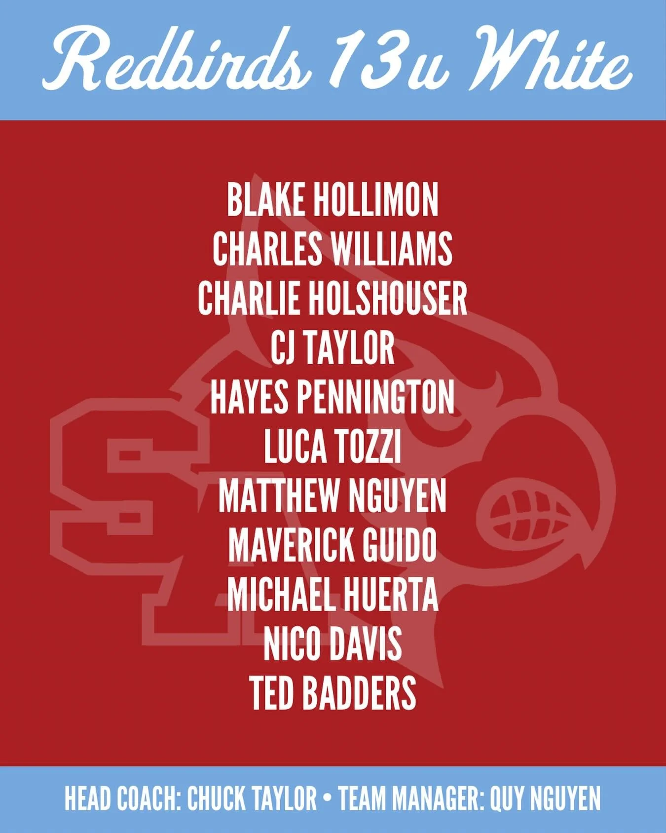 We are excited to announce our 13u (White) Redbirds team! More team announcements coming soon!