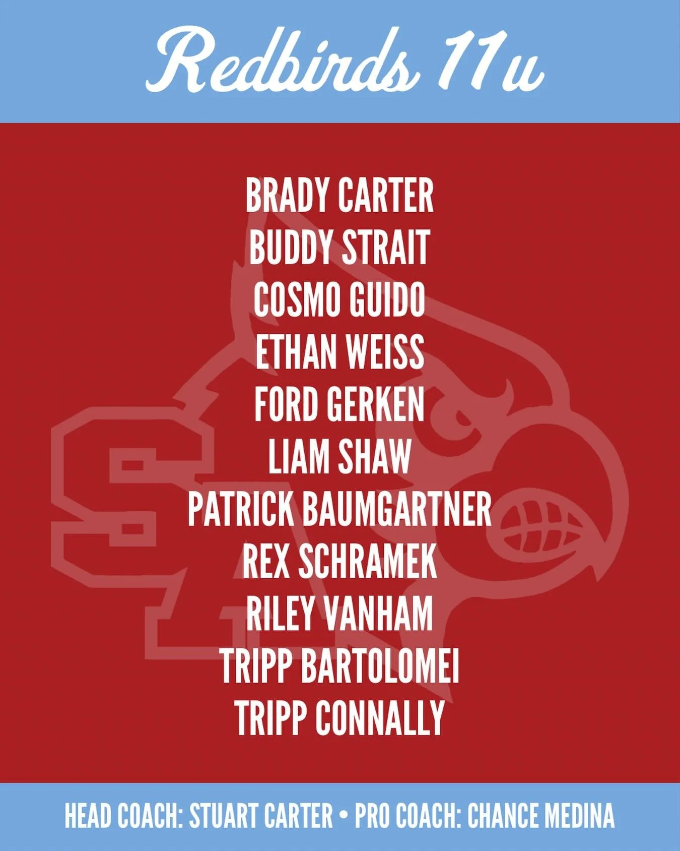 We are excited to announce our 11u Redbirds team! More team announcements coming soon!