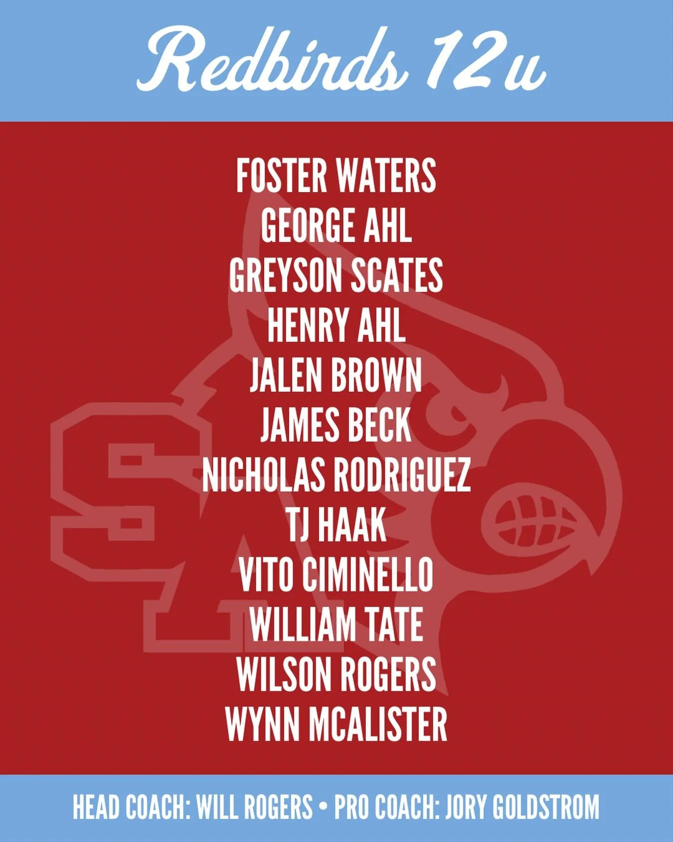 We are excited to announce our 12u Redbirds team! More team announcements coming soon!