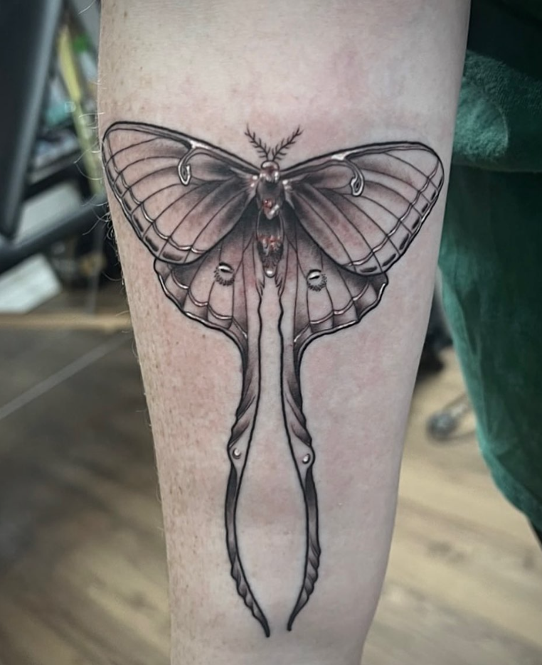 Screenshot 2024-03-19 100538.png